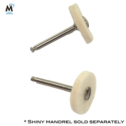 30 PCS Felt Wheel Shiny F - Incidental