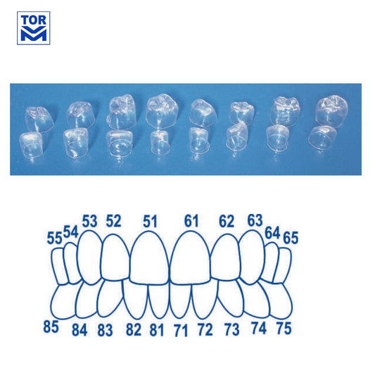 Deciduous Transparent Crowns (64 pcs) - Incidental