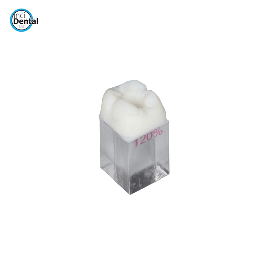 Incidental Endo Training Block - Incidental