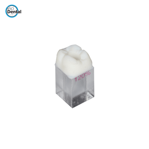 Incidental Endo Training Block