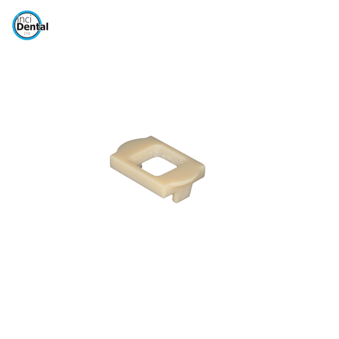 Natural Tooth Insert (2pcs)