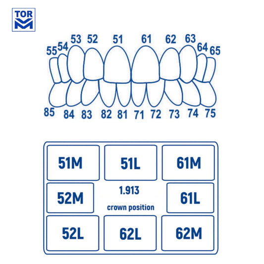 Pediatric Strips - Crown Forms - Anterior (20 pcs) - Incidental