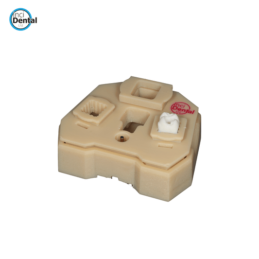 Phantom Head Endo Simulation Unit - Incidental