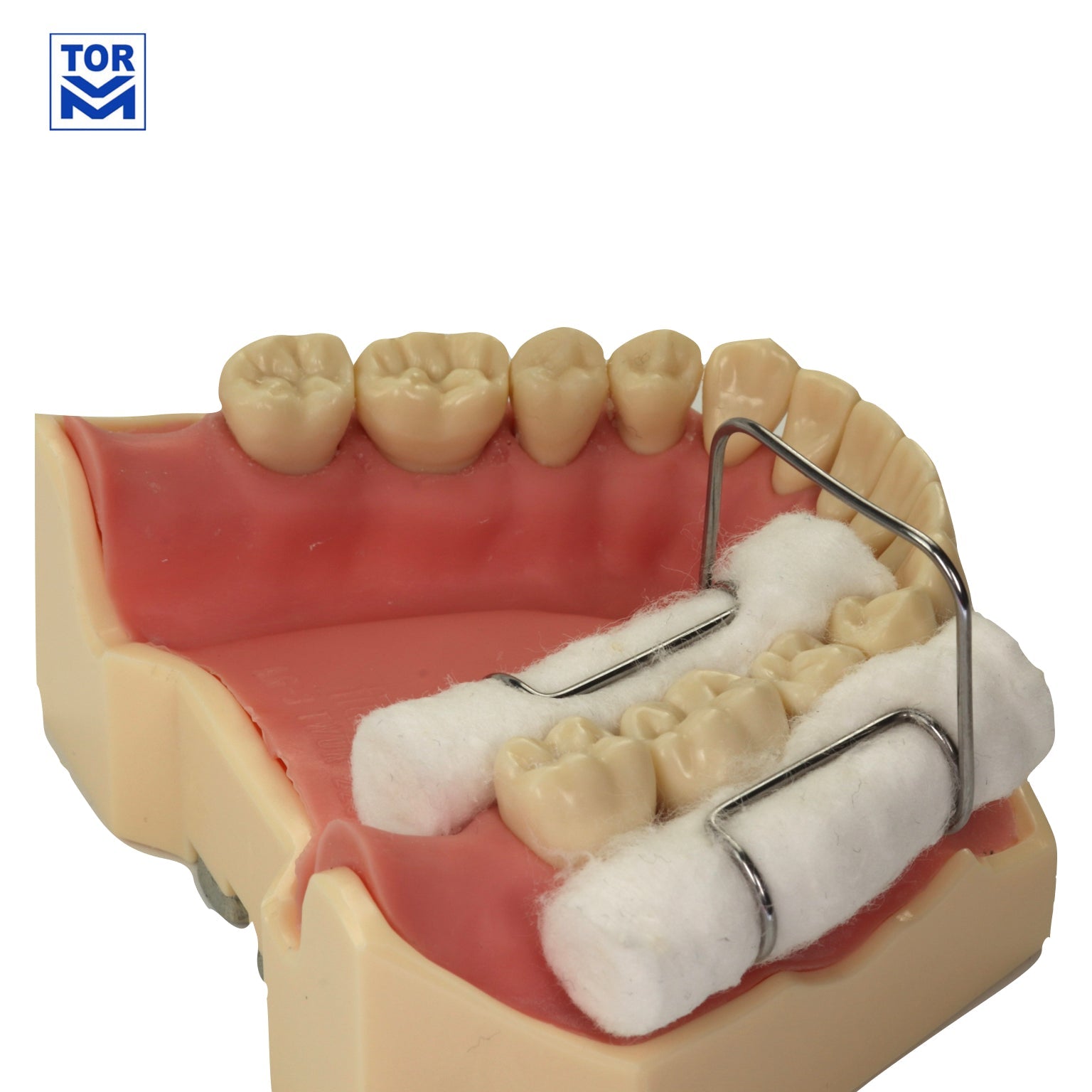 Cotton Roll Holder - Incidental