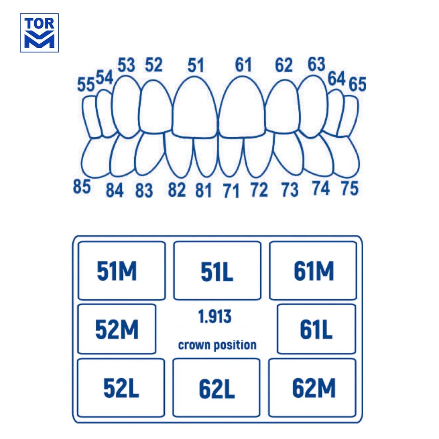 Pediatric Strips - Crown Forms - Anterior (20 pcs) - Incidental