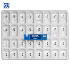 Posterior Transparent Crowns (64 pcs)