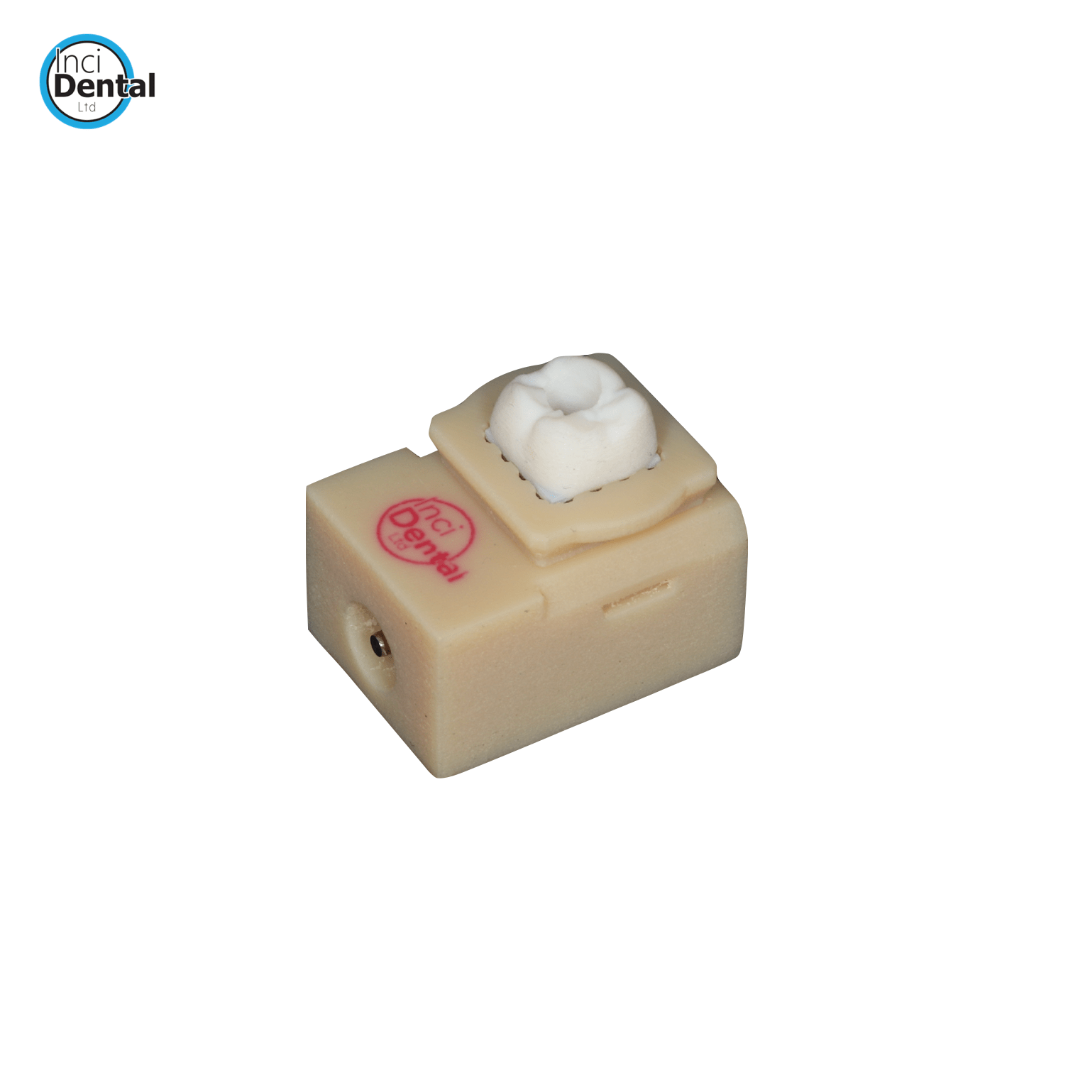 Tooth Block Insert (2pcs) - Incidental
